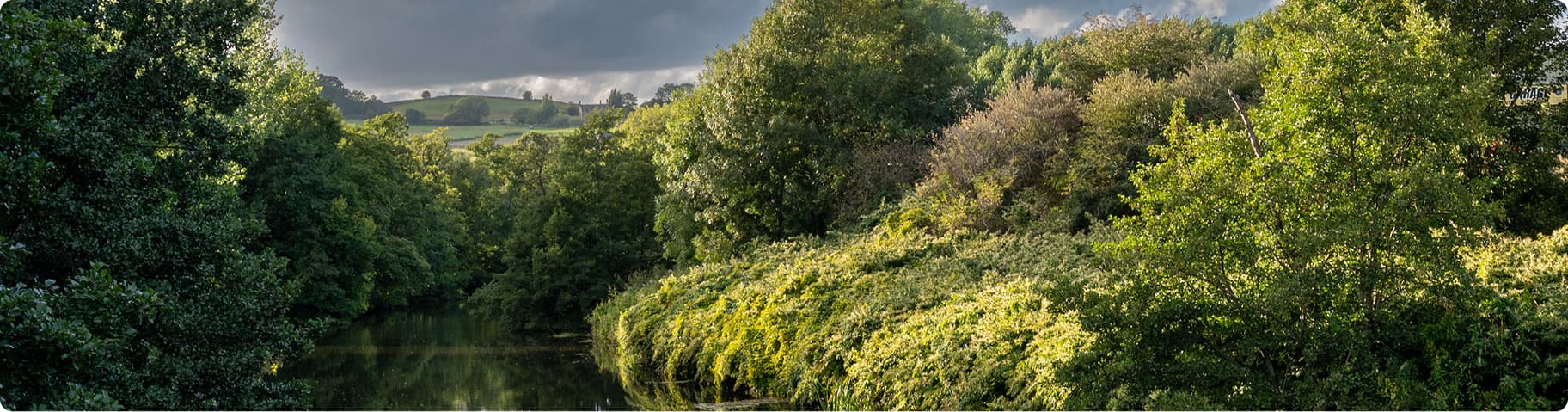 Vet Callings Banner Image