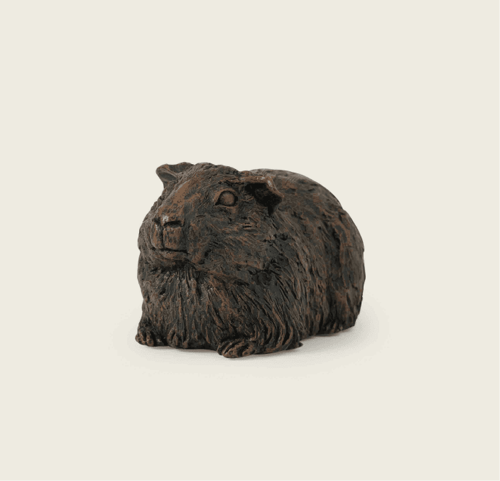Guinea Pig Urn 3