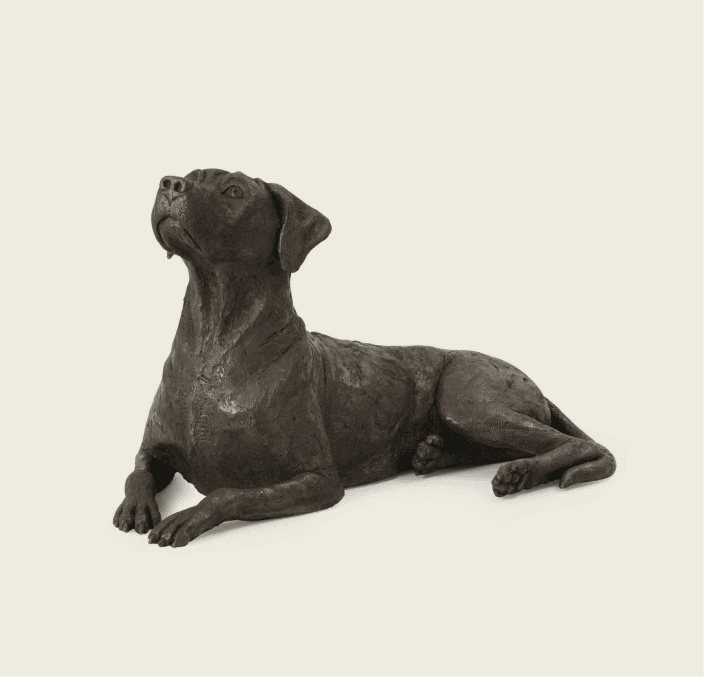 Rhodesian Ridgeback Urn 4