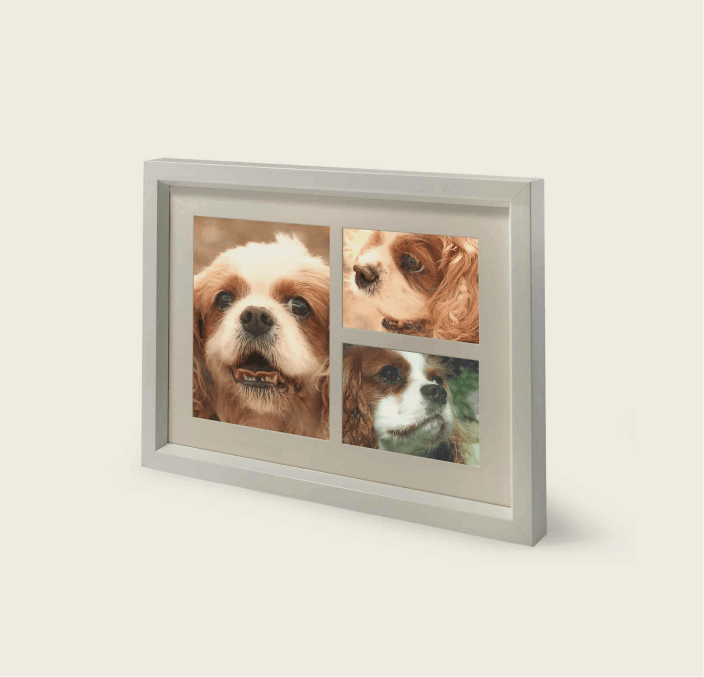 Tribute Frame – Maxi 3900 cc (White)