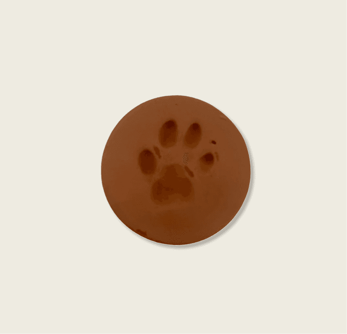 Clay Paw Print