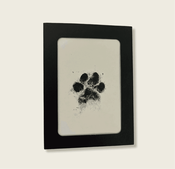 Ink Paw Print