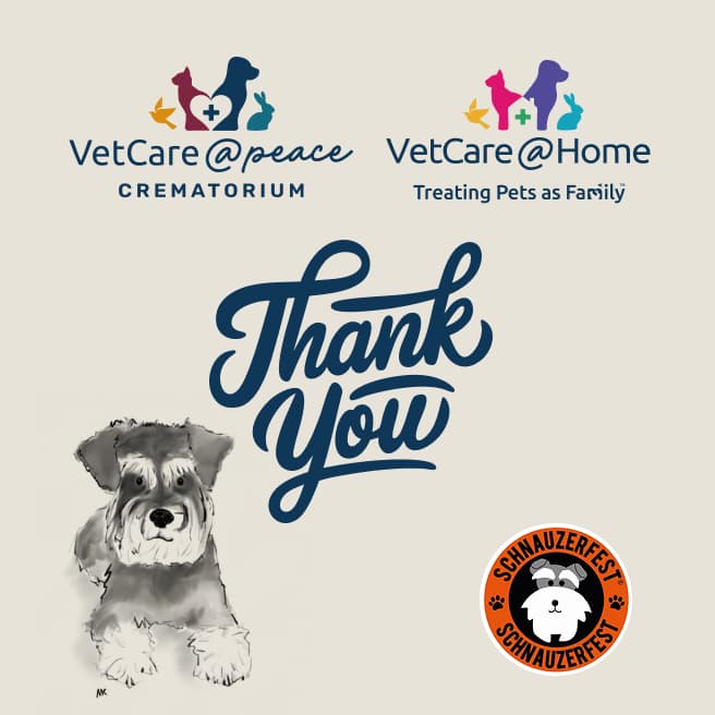 Giving Back to the Animal Community Image