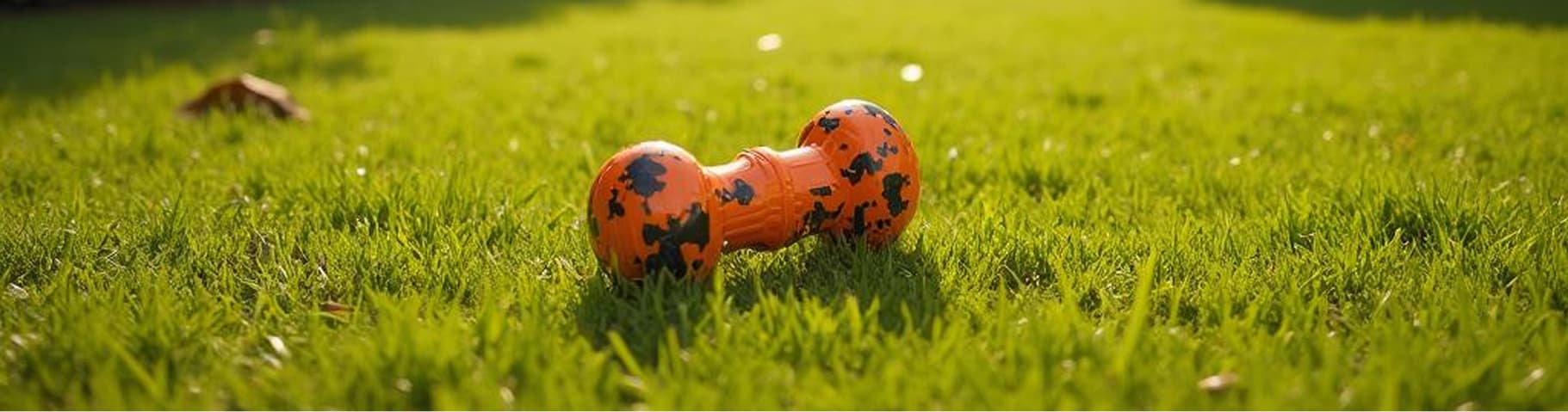 Home Euthanasia Banner Image