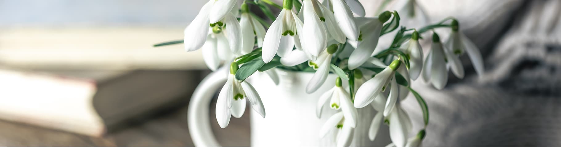 On-Site Euthanasia Banner Image