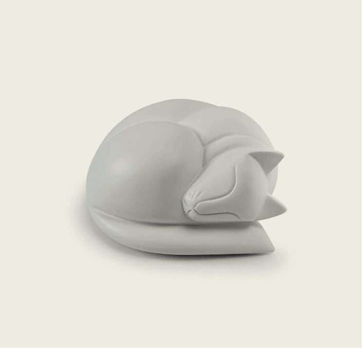 Sleeping Cat Resin Urn 4