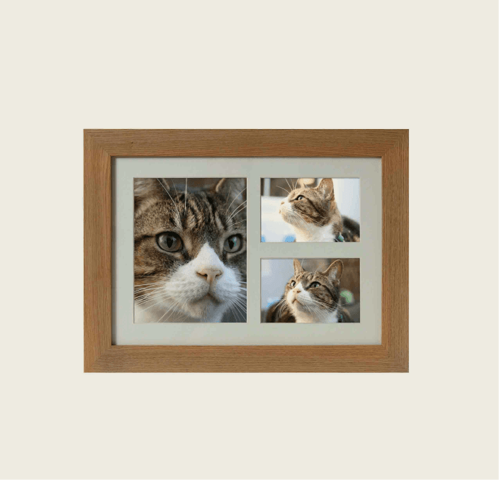 Tribute Frame – Maxi 3900 cc (Natural Oak)