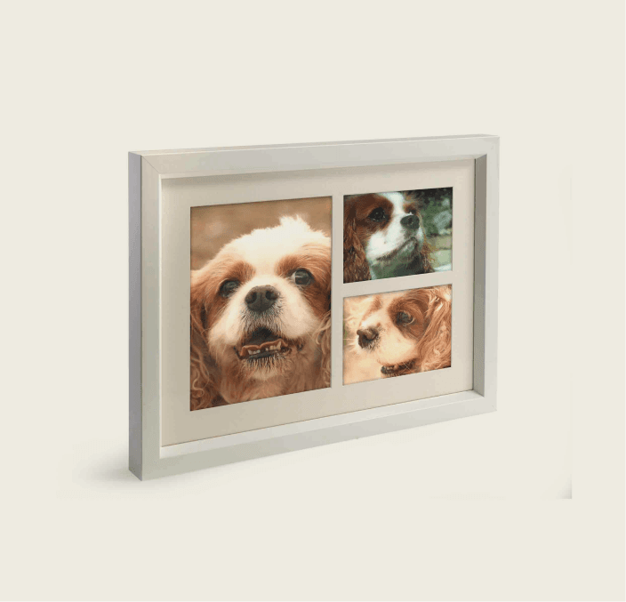 Tribute Frame – Maxi 3900 cc (White) 1