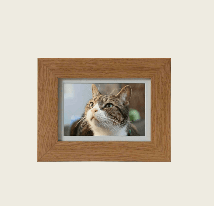 Tribute Frame – Micro 250 (Natural Oak)