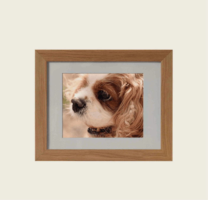 Tribute Frame – Midi 2600 cc (Natural Oak) 1