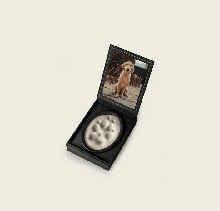 A Lasting Impression mounted in Black Faux Leather Photo Case 2