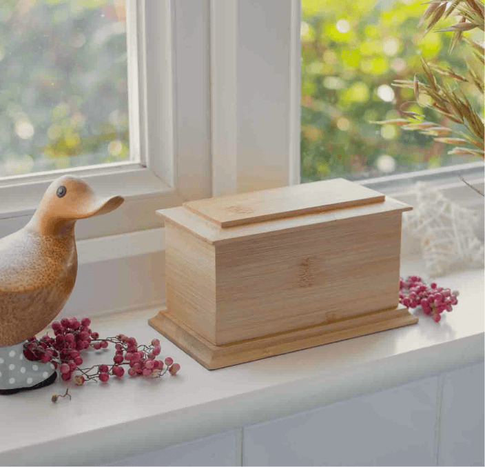 Arun Casket (Stained Mahogany Ash – Natural Ash) 4