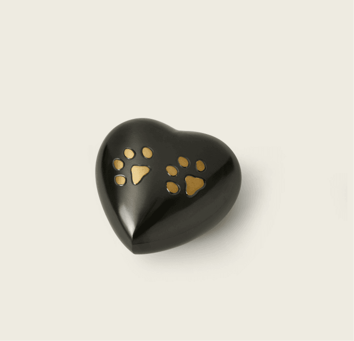 Brushed Metal Heart – 400 cc (Paw Print Motif)