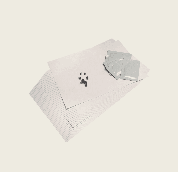 Inkless Print Set (2 sheets & 1 inkless wipe)