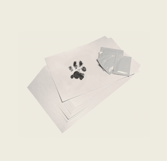 Inkless Print Set (2 sheets & 1 inkless wipe) 2