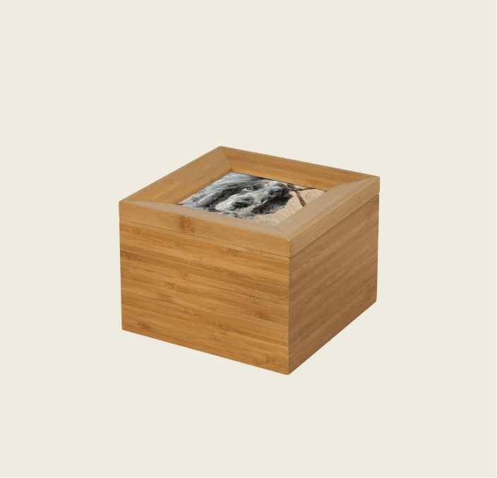 Tribute Box – 1700 cc 2