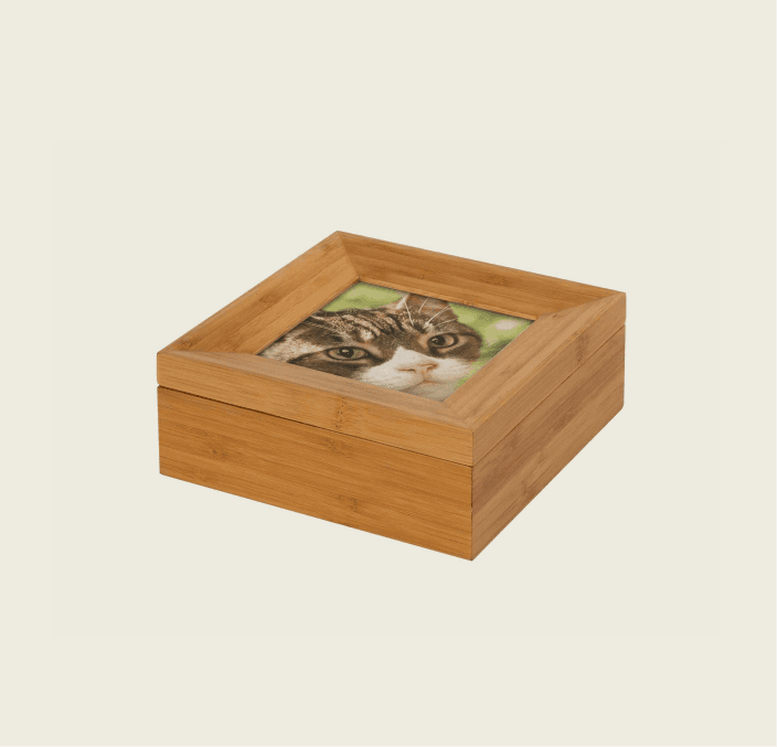 Tribute Box – 600 cc 2