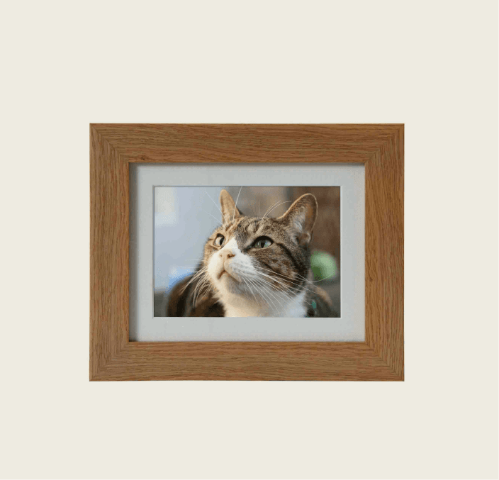 Tribute Frame – Mini 950 cc (Natural Oak)