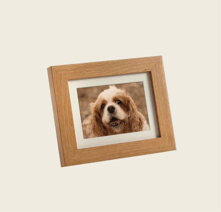 Tribute Frame – Mini 950 cc (Natural Oak) 3