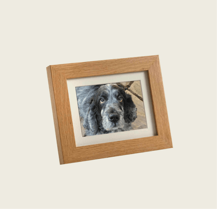 Tribute Frame – Mini 950 cc (Natural Oak) 4