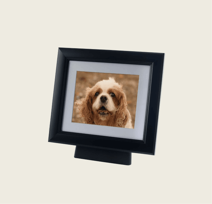 Tribute FramePod – 1