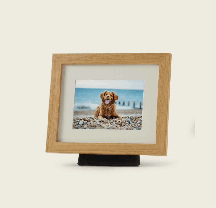 Tribute FramePod – 2