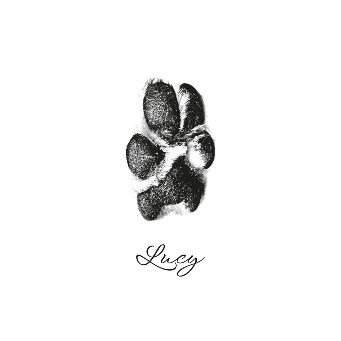 Paw